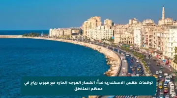توقعات طقس الإسكندرية غداً: انكسار الموجة الحارة مع هبوب رياح في معظم المناطق